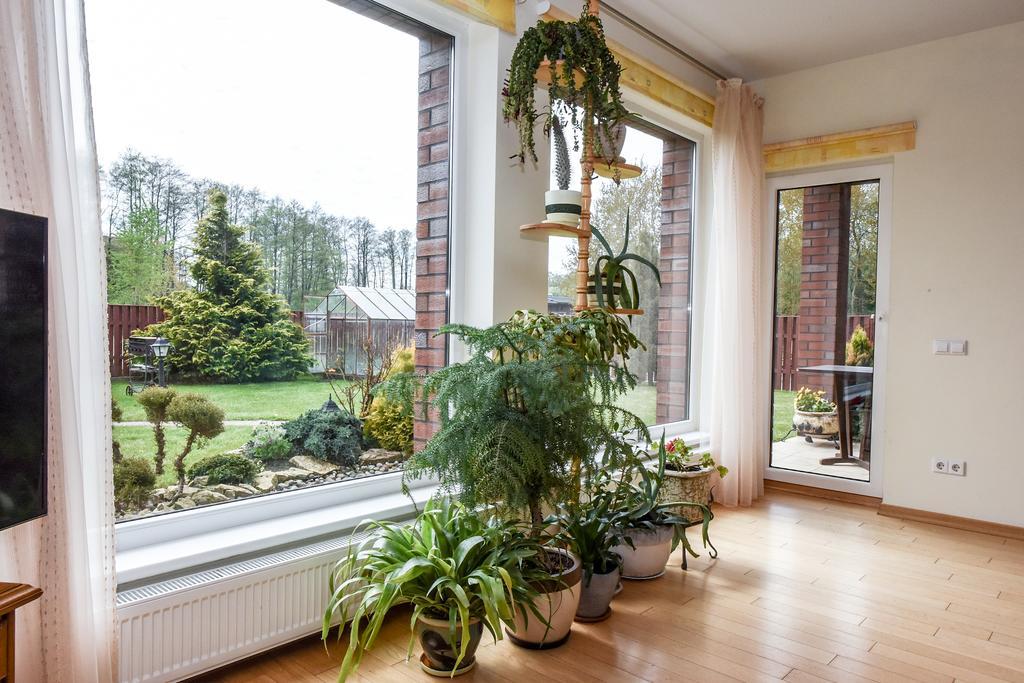 Apartamentai Pluke Połąga Zewnętrze zdjęcie